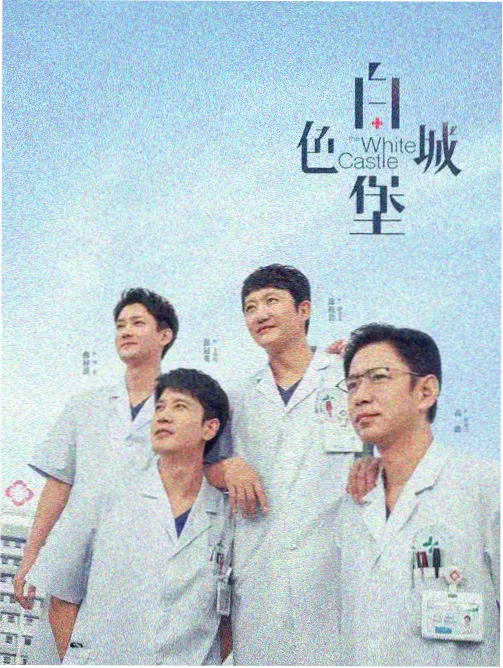 双面证人剧集海报